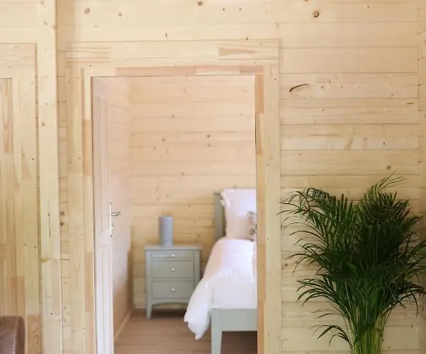 Ie For Adults Direct For Less Chalet