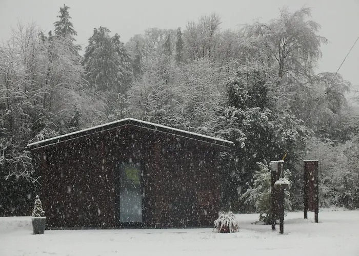 Ie For Adults Direct For Less Chalet *