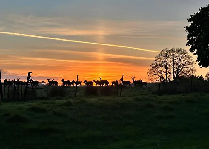 Ie For Adults Direct For Less