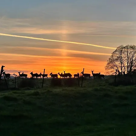 Ie For Adults Direct For Less