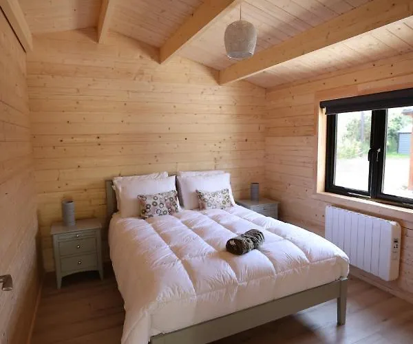 Ie For Adults Direct For Less