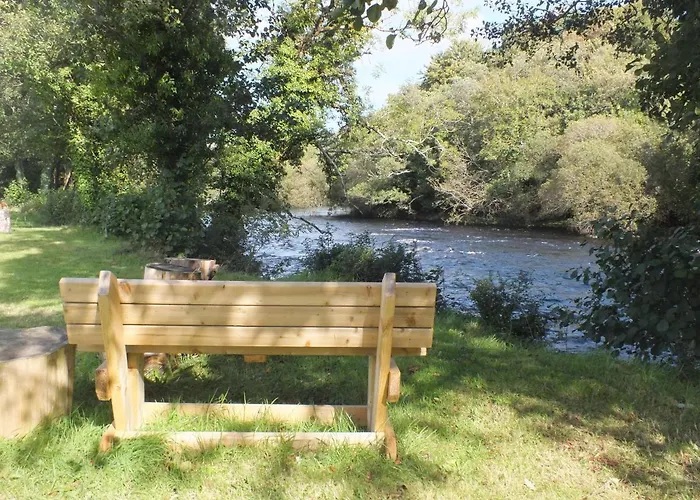 Ie For Adults Direct For Less Кілларні